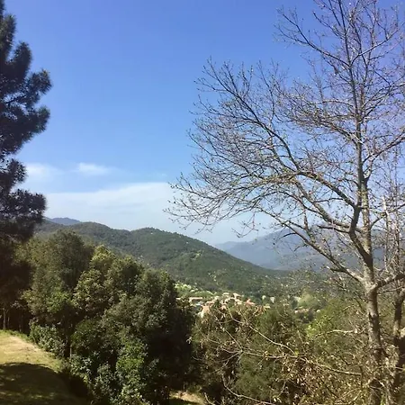 Nyaraló I Trovi