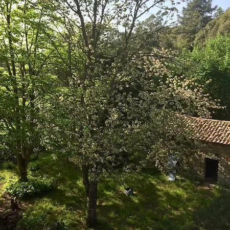 Nyaraló I Trovi Tavera